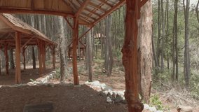 Cinematic slow aerial footage forward movement passing between pine trees and wooden shack