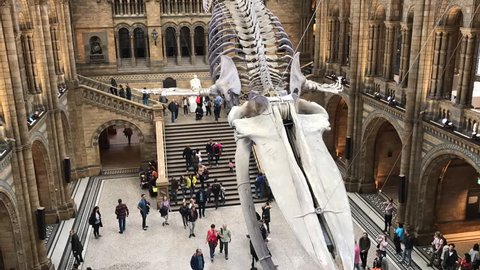 Time lapse of the Natural History Museum, London, England