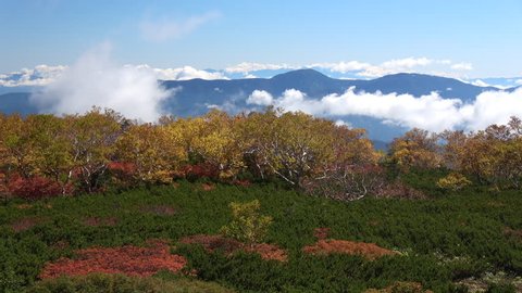 Norikura mountain in Nagano prefecture of Japan. Autumn leaves and sea of clouds are dynamic and beautiful.