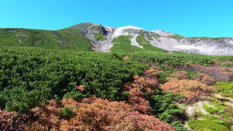 Norikura mountain in Nagano prefecture of Japan. Autumn leaves and sea of clouds are dynamic and beautiful.