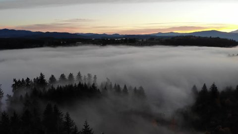 Drone footage of fog over Lacamas Lake in Camas Washington