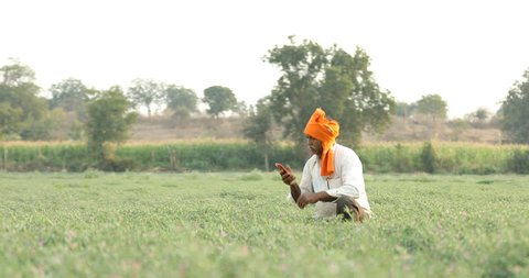Indian farmer using mobile phone at field