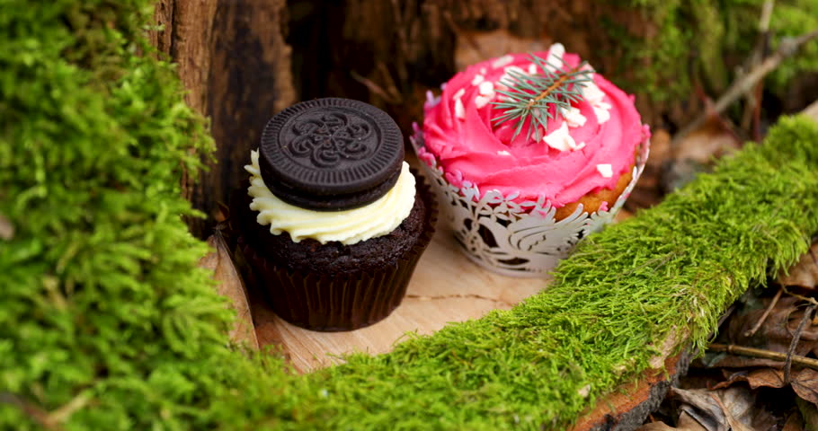 Cupcake cakes in the middle of forest on a moss dark cream with a biscuit and pink black cakes for a wedding ceremony