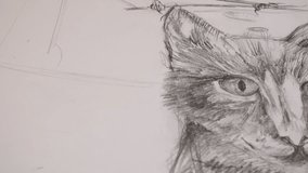 Drawing of a cat.
