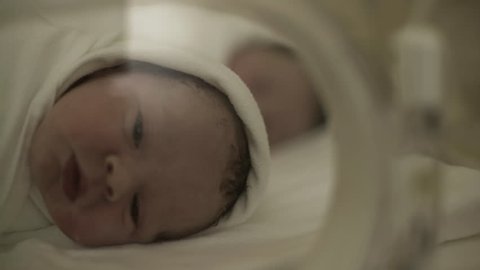 Portrait of beautiful premature newborn baby while yawning and looking around during treatment in incubator in intensive care unit at maternity ward.Dolly shot. Rack focus.