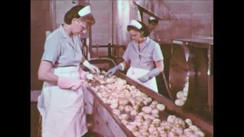 CIRCA 1960s - A potato chip factory in this 1960's industrial film.