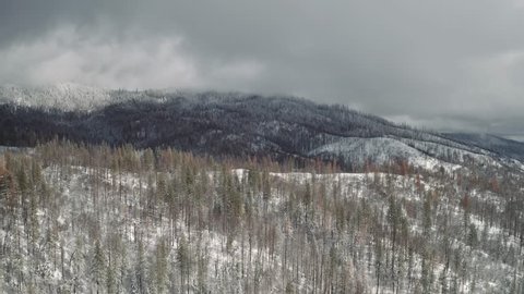 Aerial shot of epic winter landscape. Snow covered ground with trees and mountain range. Overcast sky, dark.