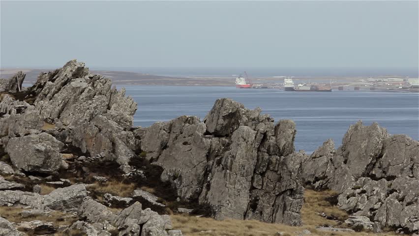 Ships Stanley Harbour Falkland Islands Islas Stock Footage Video 100   1 