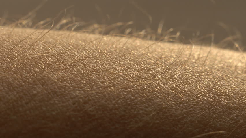 Goosebumps close up. Hair on the hand stand up and falls. Skin reaction to cold, fear, or good music. Horripilation on skin.  Royalty-Free Stock Footage #1024191944
