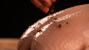 Hand Sprinkling pouring scattering Spices on Raw Chicken extremely close up macro shot cooking food slow motion video
