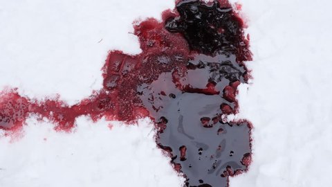 Trail leading to pool of blood in the snow. Winter death. Horror. Murder. NOTE: Fake Blood with genuine snow.