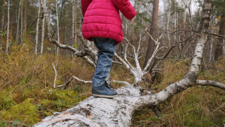 Little girl in autumn forest
