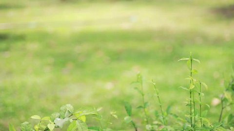 Unidentified Man Puts Box Marked Recyclable Stock Footage Video (100% ...