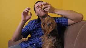 man and dog eat pizza funny video. happy man and dog pet eating a slice of pizza concept. male hungry eats a slice of pizza. slow motion video. pizza fast food concept lifestyle
