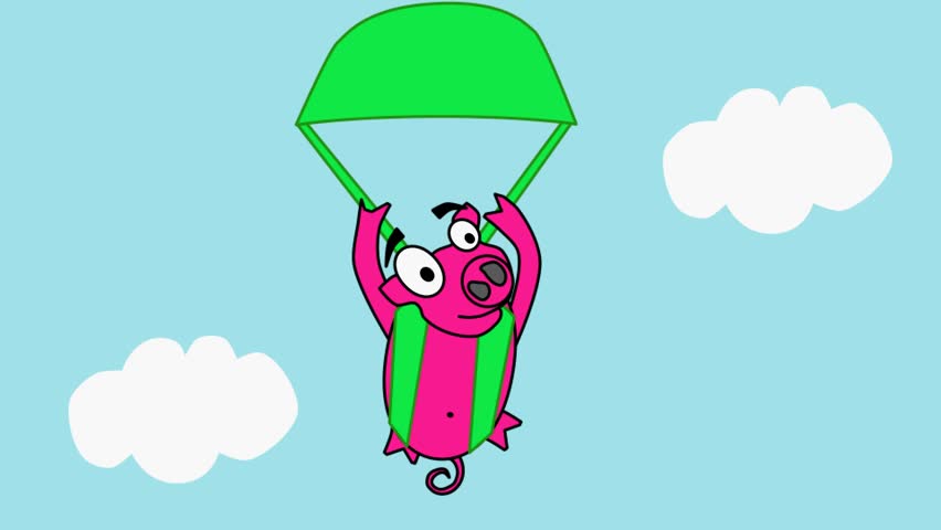 4k skydiving. Activities, sports. Healthy lifestyle. Pig in the sky.