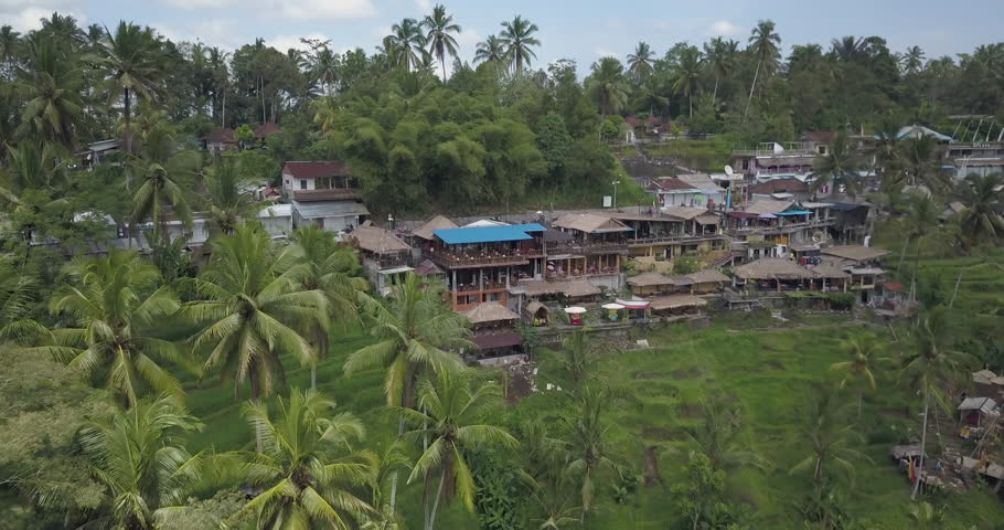 Tegallalang Rice Terraces in Ubud (AERIAL DRONE SHOT) 13 | Shutterstock HD Video #1024262951