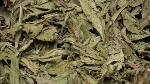 Dry Stevia Rebaudiana Bertoni Leaves Rotating. Healthy Superfood