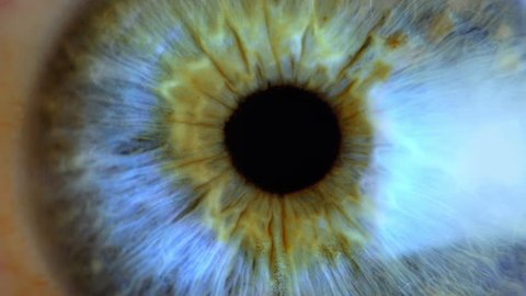 Extreme close up human eye iris

