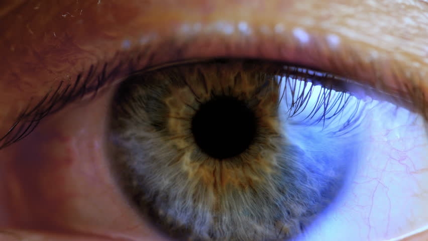 Extreme close up human eye iris
 Royalty-Free Stock Footage #1024275113