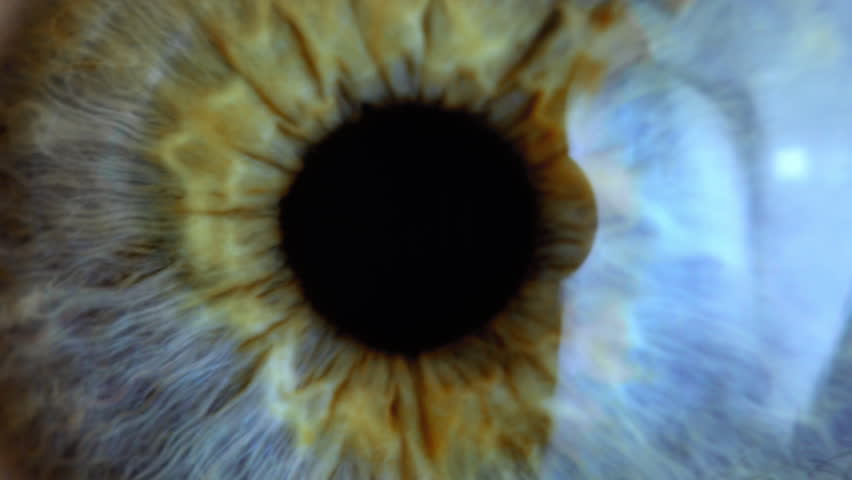 Extreme close up human eye iris
 Royalty-Free Stock Footage #1024275122
