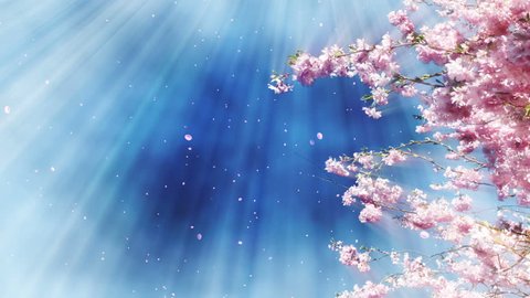 Sakura Tree And Fantasy Sky