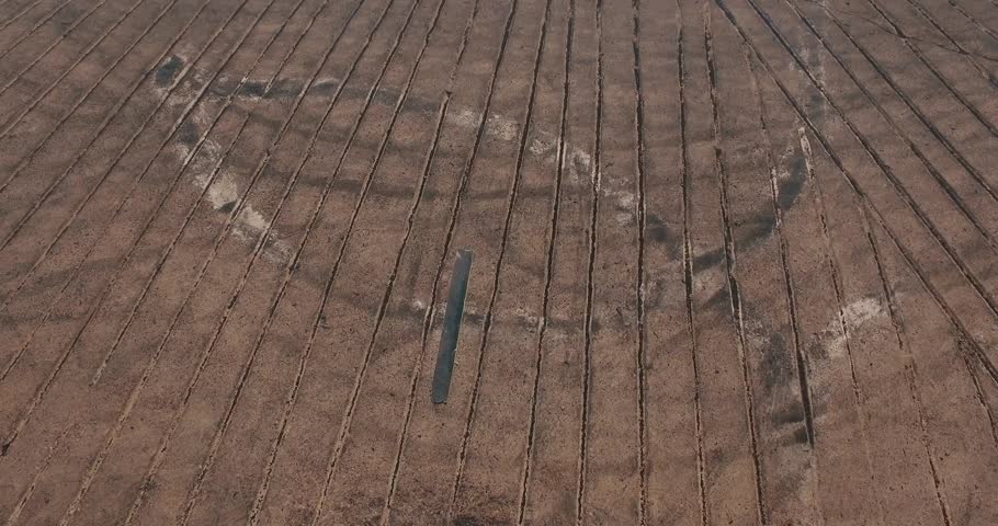 Close Up Stabilized Tracking Shot of Multiple Race Cars Drifting Around a Circle Curve.