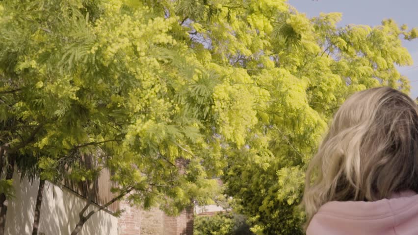 Slow motion video with young beautiful woman going under the flowering branches of the mimosa trees, smiling, teasing and touching the leaves and flowers. Concept of spring,  warmth and good mood.