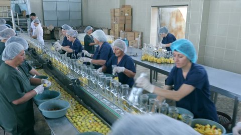 Production of Apricot Juice and Canned Fruits Products . Workers on line of bottling fresh apricots . Produce line inside plant . Processing of fruits , apricots in a cannery . Canning Factory .