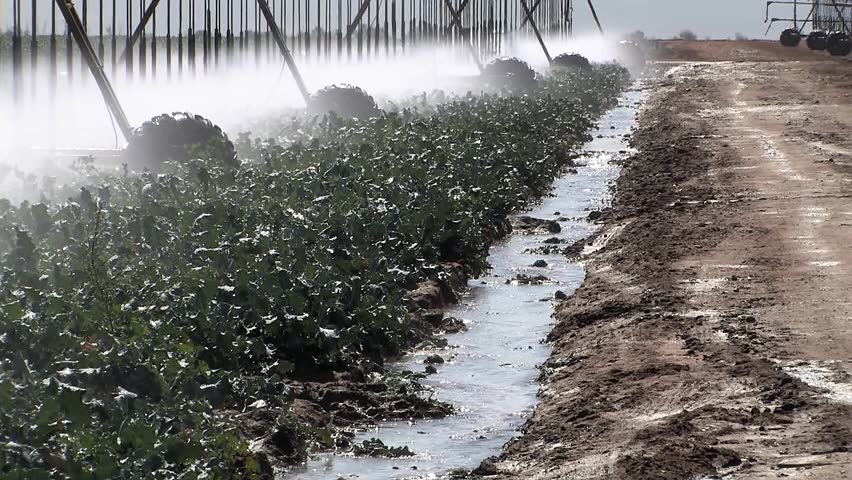 Center Pivot Irrigation California, USA.