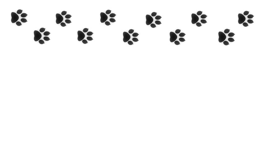 Animal Paw Prints White Stock Footage Video (100% Royalty-free) | Shutterstock