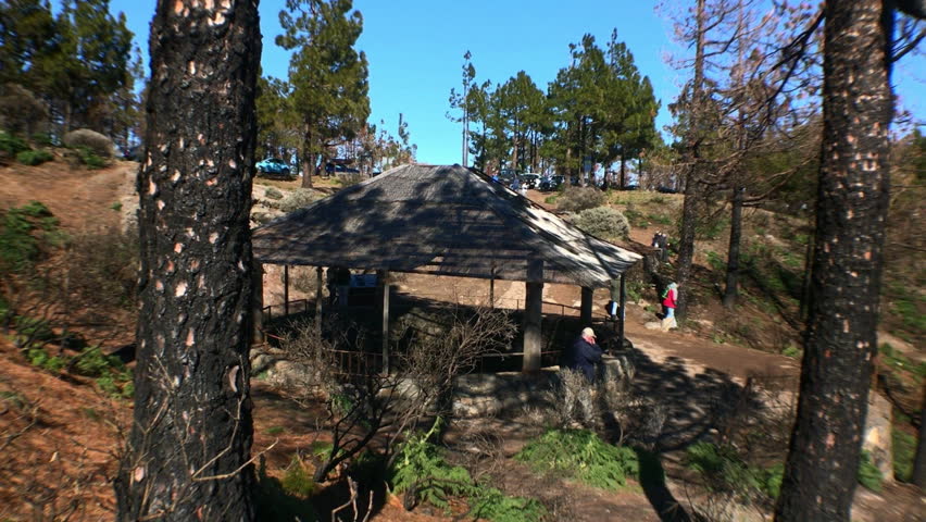CABIN IN THE WOODS