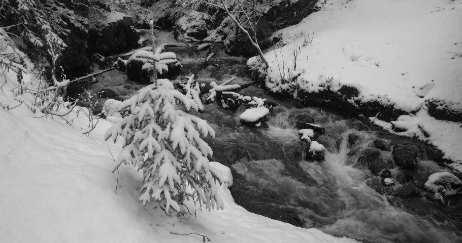 A small creek with snow covered banks during snowfall in Chugach state park Alaska.