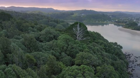 Aerial flying over pohutukawa trees and estuary at sunset in Whangamata, New Zealand 