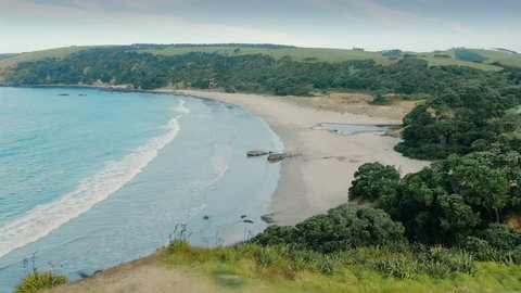 Aerial over grassy hill, pohutukawa trees, beach and calm ocean At Tawharanui, Auckland, New Zealand 