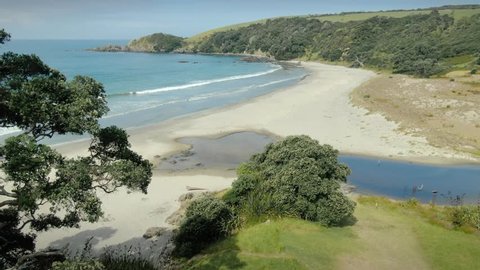 Aerial Over people on the sandy beach, pohutukawa trees, estuary in the summer. Tawharanui, Auckland, New Zealand 