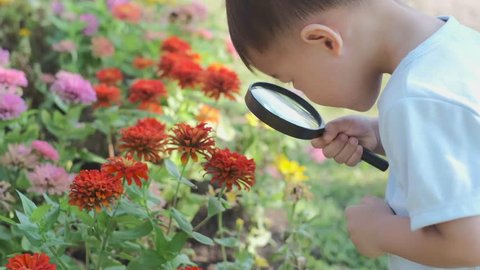 Cute little Asian 2 - 3 years old toddler baby boy child exploring environment by looking through a magnifying glass in sunny day at beautiful garden, kid first experience & discovery concept