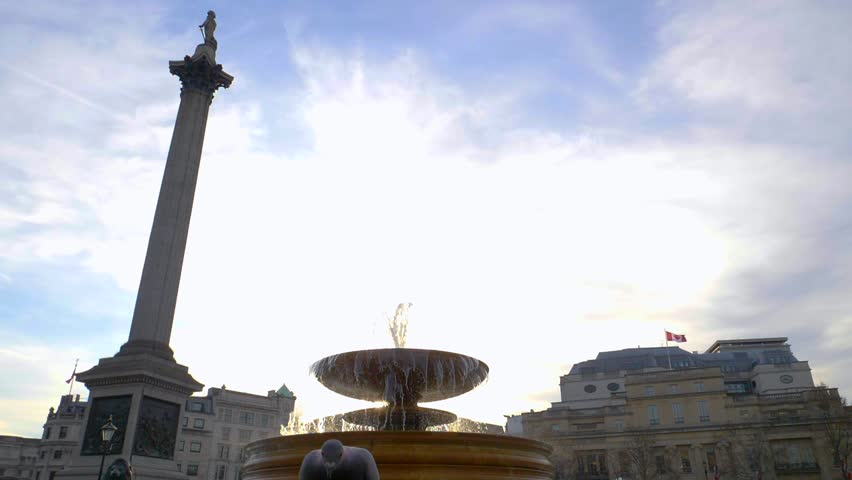 Trafalgar Square London Pigeon Royalty-Free Stock Footage #1024400720