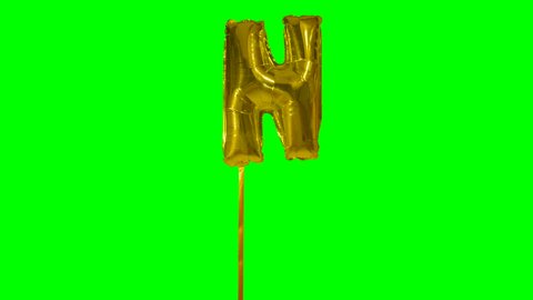 Letter N from alphabet helium gold balloon floating on green screen
