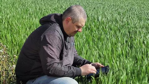 Farmer with tablet PC on cereal field in summer