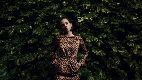Portrait Of An Elegant Young Woman. Leopard Dress. Slow Motion.