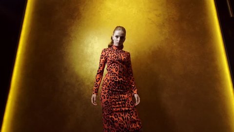 Cute Fashion Model Posing On A Gold Background. Woman In Orange Black Dress.