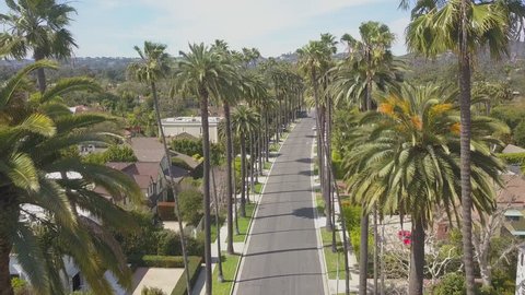 Scenic Smooth & Slow Aerial Drone 4K View of Beverly Hills California Skinny Palm Trees in Los Angeles with Beautiful View of Hollywood Hills 