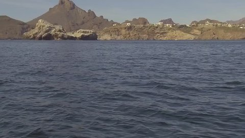 Slow motion gimbaled footage of rare dolphins in Sea of Cortez