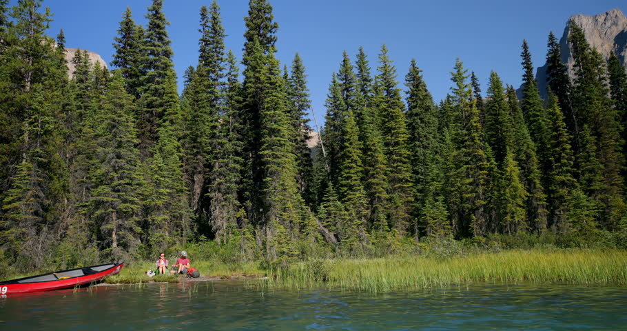 Couple sitting near riverside in the forest on a sunny day. Green trees and beautiful sky in the background 4k