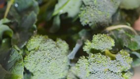 Broccoli close up shot and texture detail.
Selective focus