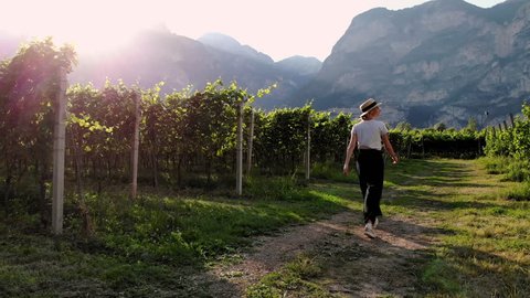 Female farmer inspects farm walking near grape bushes growing on plantation in green mountains valley during summer season.Young woman tourist visiting Ecotourism vineyards in piedmont of Italy region