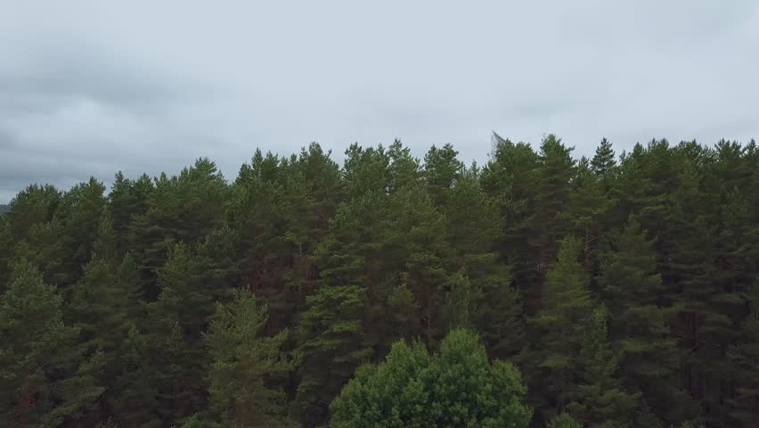 Establishing shot of radio telescope observatory in green forest. Aerial view. Royalty-Free Stock Footage #1024516139