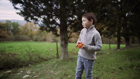 Young playful boy throwing a bright orange into the air as he's walking around a green yard, with view of rural Tuscany in background. Wide shot on 8k helium RED camera.