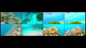 Collage Ocean scenery on shallow coral reef. Underwater video of the ocean. Small fish swim erratically and hidden by algae. Colored corals and fish in the Maldives.