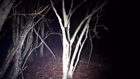 Gimbal walking through dark woods at night. Running thorough misty deep forest at night. Scared running away from monsters and death, lost and alone in the dark. Spooky trees and fog in darkness.